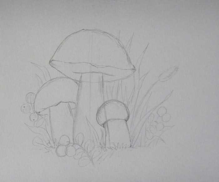 Как нарисовать грибы карандашом поэтапно — легкая инструкция для начинающих (фото + мастер-класс)