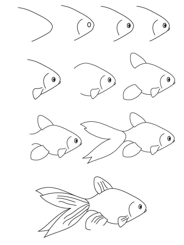 Как нарисовать рыбу карандашом поэтапно для детей