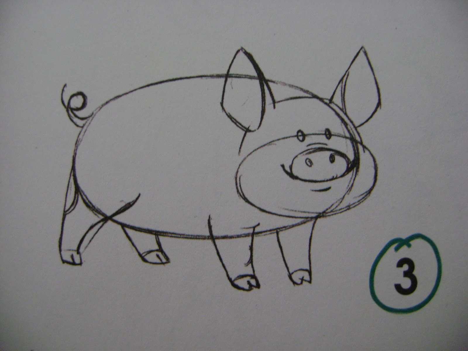 Как нарисовать свинью поэтапно карандашом: легкие способы рисования свиньи (мастер-класс для начинающих)