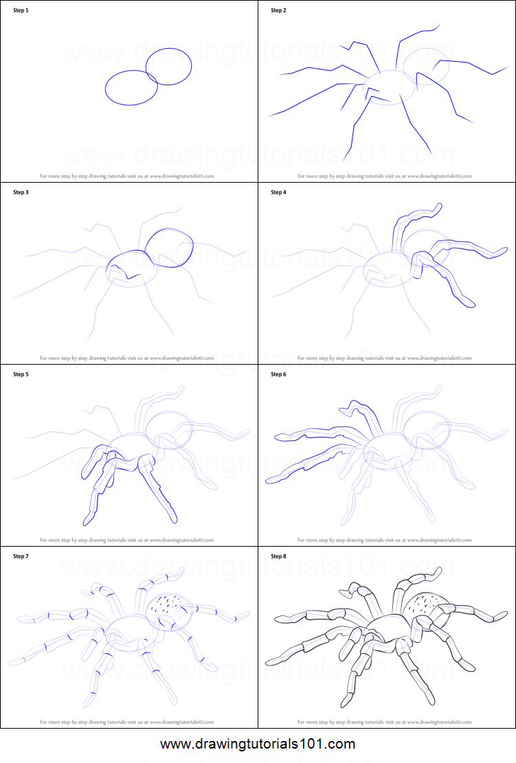 Как нарисовать паука поэтапно карандашом легко и просто