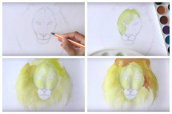 Как нарисовать льва поэтапно легко и просто — простые схемы