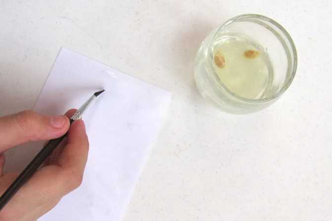Невидимые чернила в домашних условиях из лимона, молока, соды, стирального порошка: видео рецепты
