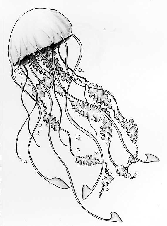 Конспект занятия по рисованию гуашью в технике набрызга «подводное царство. медузы»
