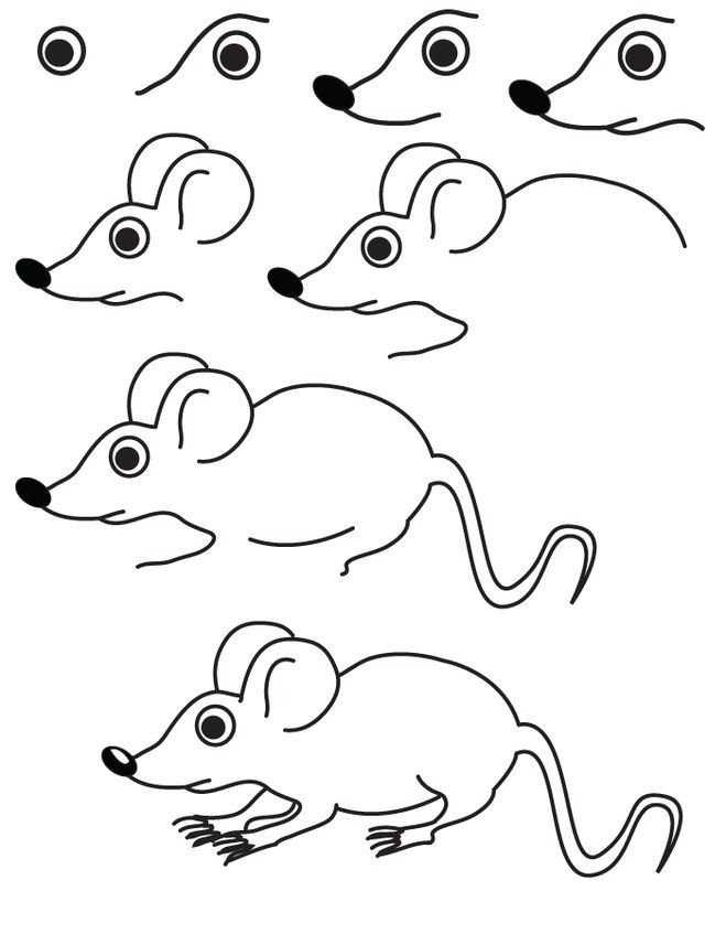 Как нарисовать мышку карандашом поэтапно легко и красиво