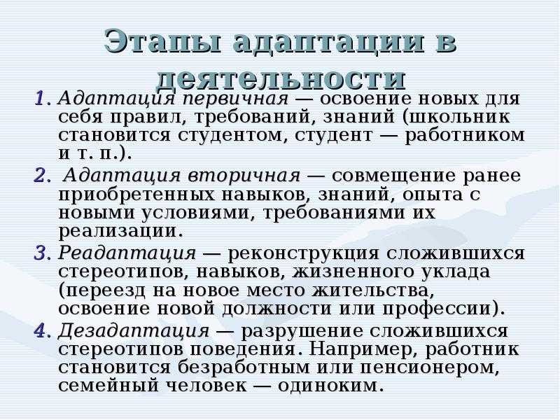 Встал, умылся, включил zoom. как проходила смена в самом популярном алтайском онлайн-лагере и кто его организовал