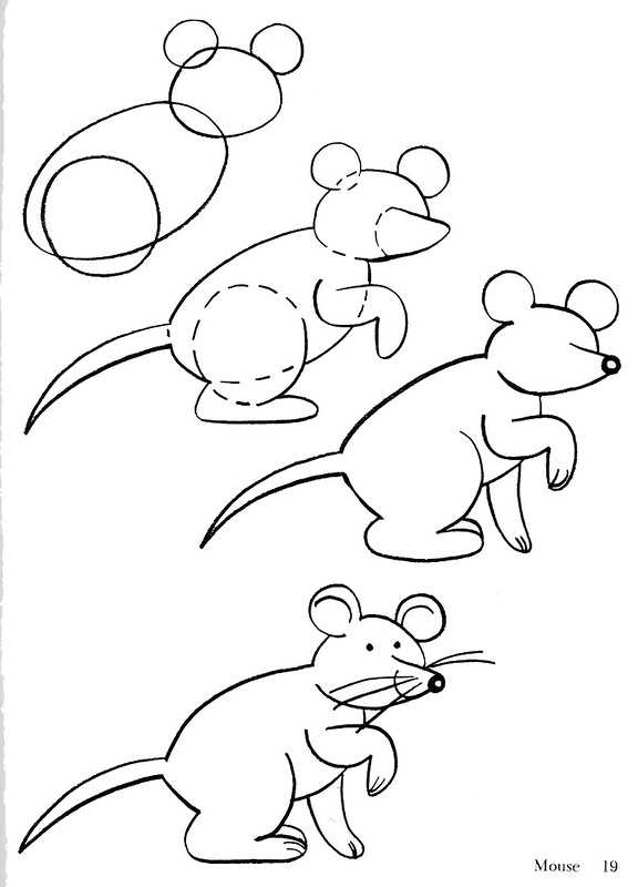 Как нарисовать мышь поэтапно: детский мастер-класс для начинающих. инструкция с описанием по созданию мышонка