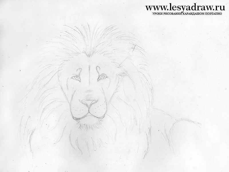 Как нарисовать льва карандашами и красками — лучшие поэтапные мастер-классы для детей и начинающих художников