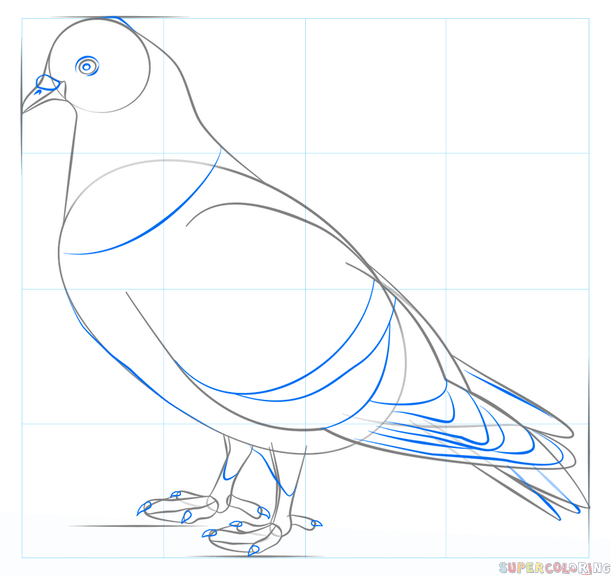 Конспект нод по рисованию «голубь — символ мира и добра»