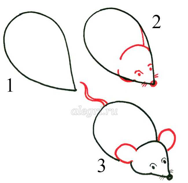 Как нарисовать мышку  поэтапно 6 уроков