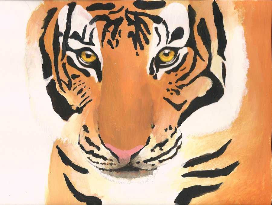 Как нарисовать тигра своими руками поэтапно: учимся рисовать красками и карандашом, легкий мастер-класс для детей