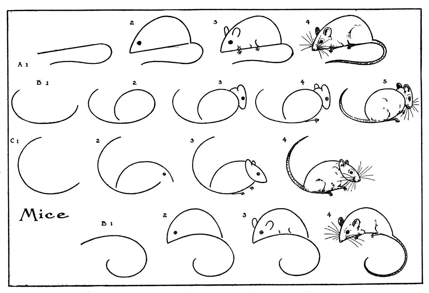 Как нарисовать мышь карандашом: поэтапная инструкция для детей. учимся рисовать мышь быстро и легко своими руками