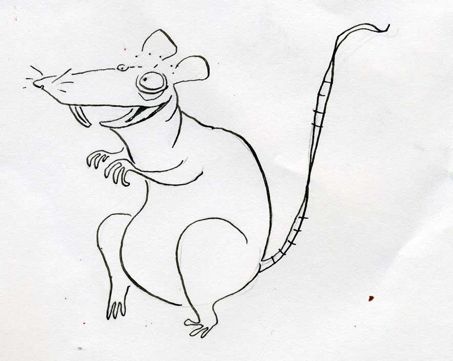 Как нарисовать крысу на новый год 2021: как нарисовать крысу на новый год 2021 карандашом поэтапно
