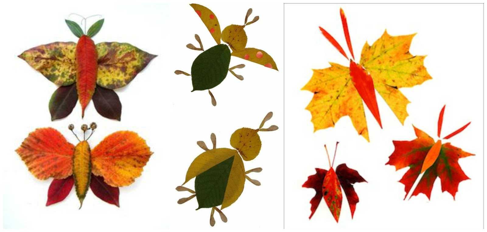 Аппликация из осенних листьев своими руками - особенности работы с материалом,