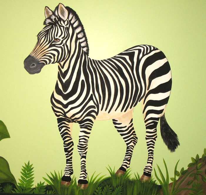 Рисунок с карандашом лошадь зебра. рисуем зебру вместе с детьми карандашом поэтапно