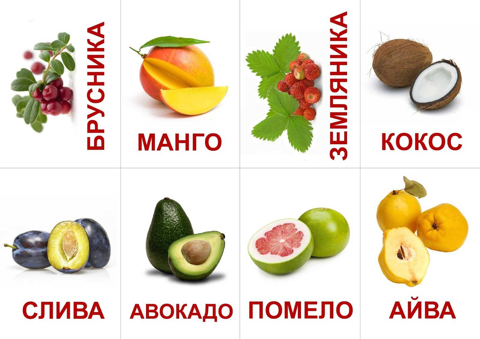 Овощи: картинки для детей