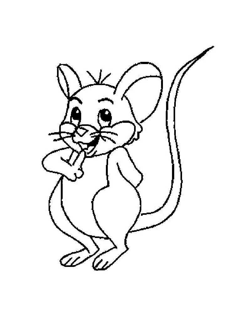 Раскраски летучая мышь. лучшие распечатать, скачать картинки для детей