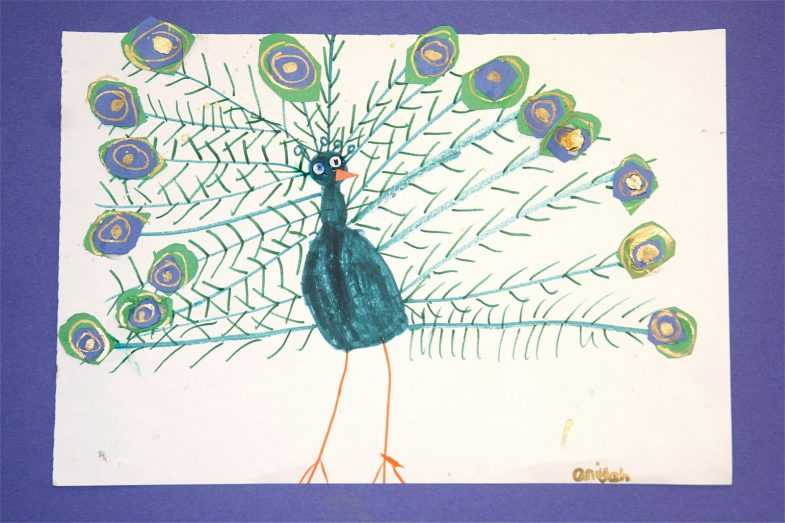 Как нарисовать птицу карандашом и красками — подробные и поэтапные мастер-классы для детей и начинающих художников