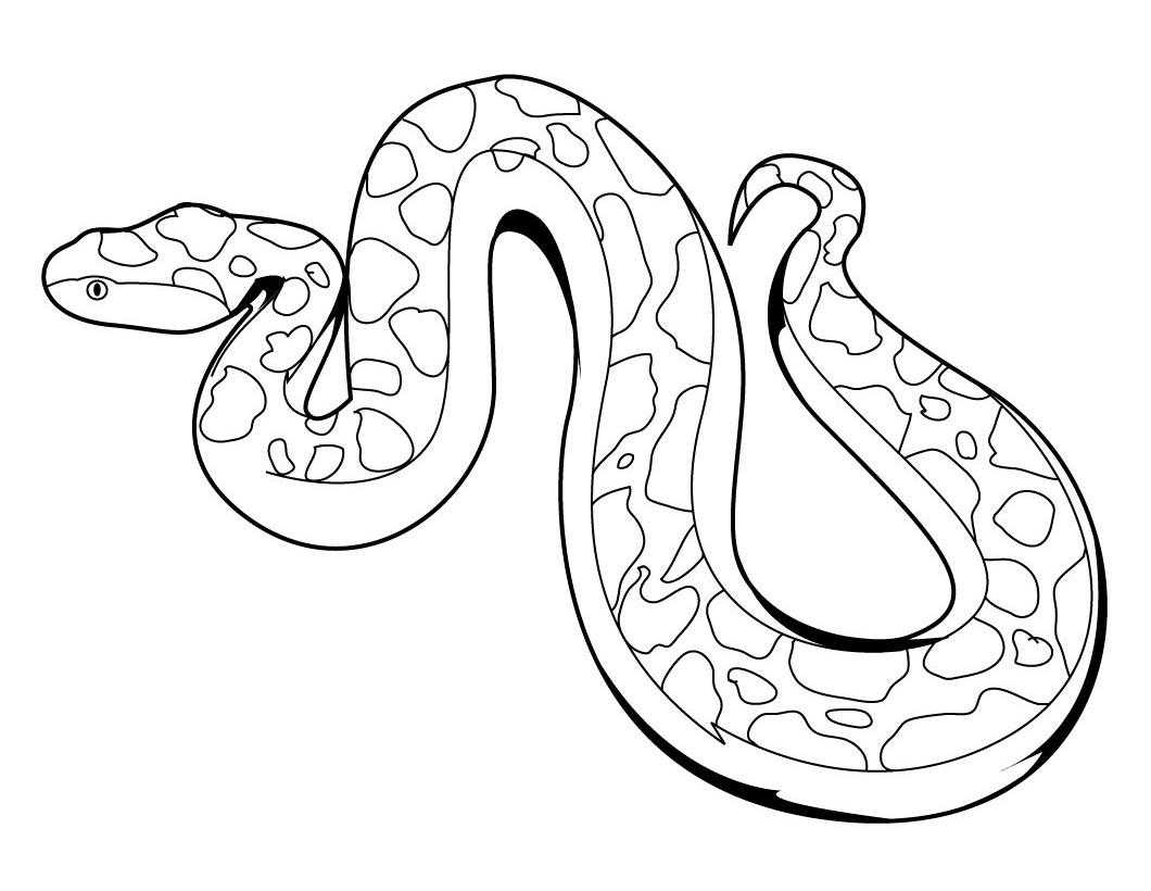 Раскраски змеи | бесплатно распечатать, скачать картинки для детей
