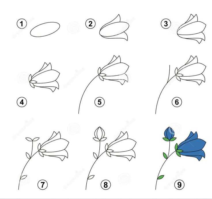 Как нарисовать букет цветов поэтапно 10 уроков