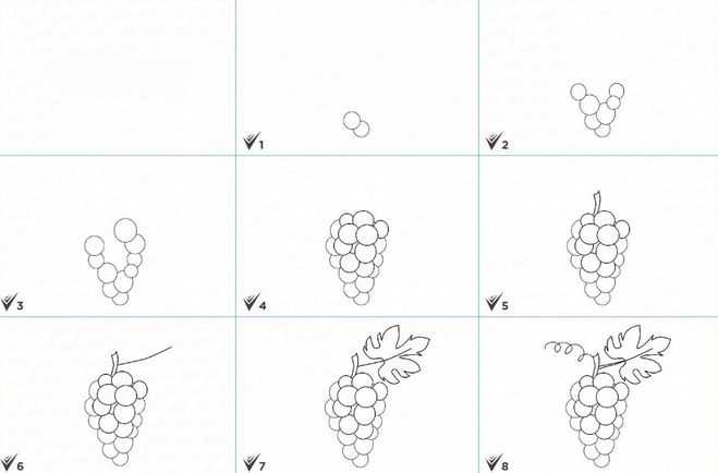 Как нарисовать виноград поэтапно с натуры