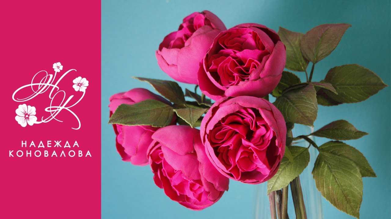 Пионовидные розы из фоамирана: простой урок с шаблонами