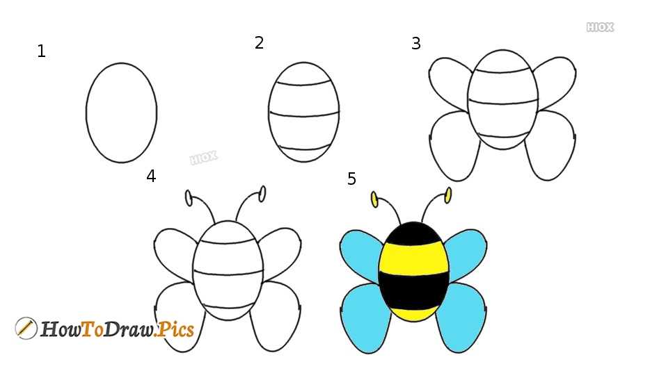 Урок-схема рисования карандашом – пчёлка
