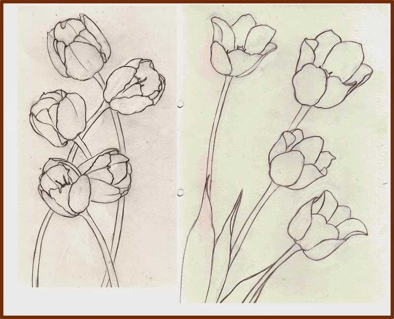Как нарисовать тюльпан гуашью поэтапно - легкий урок рисования