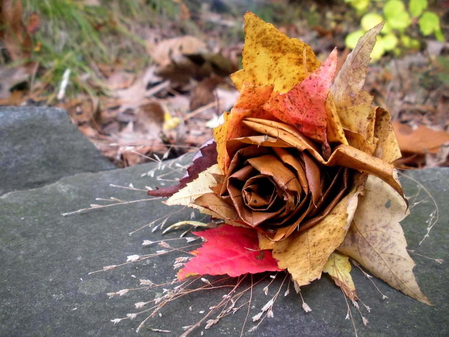 Осенние аппликации (5 техник + 50 фото) из листьев. | семейная кучка