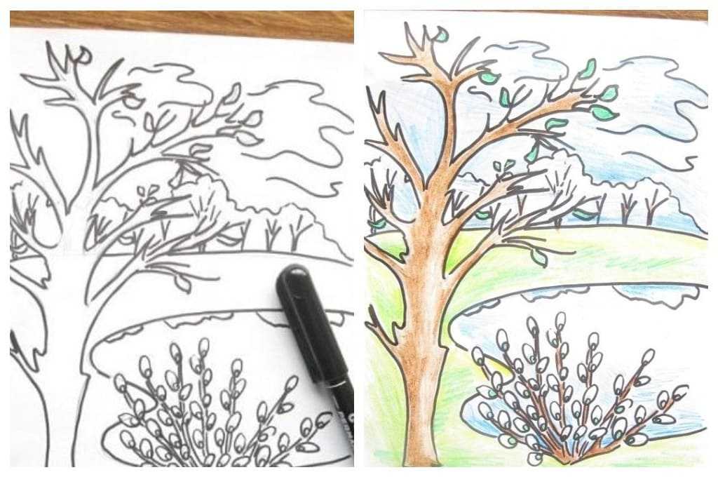 Как нарисовать птицу (92 фото): поэтапная инструкция для ребенка и начинающих