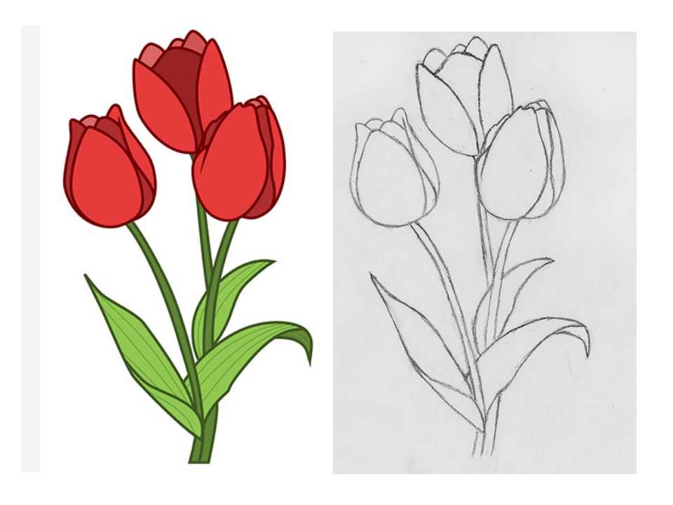 Как нарисовать букет цветов поэтапно 10 уроков