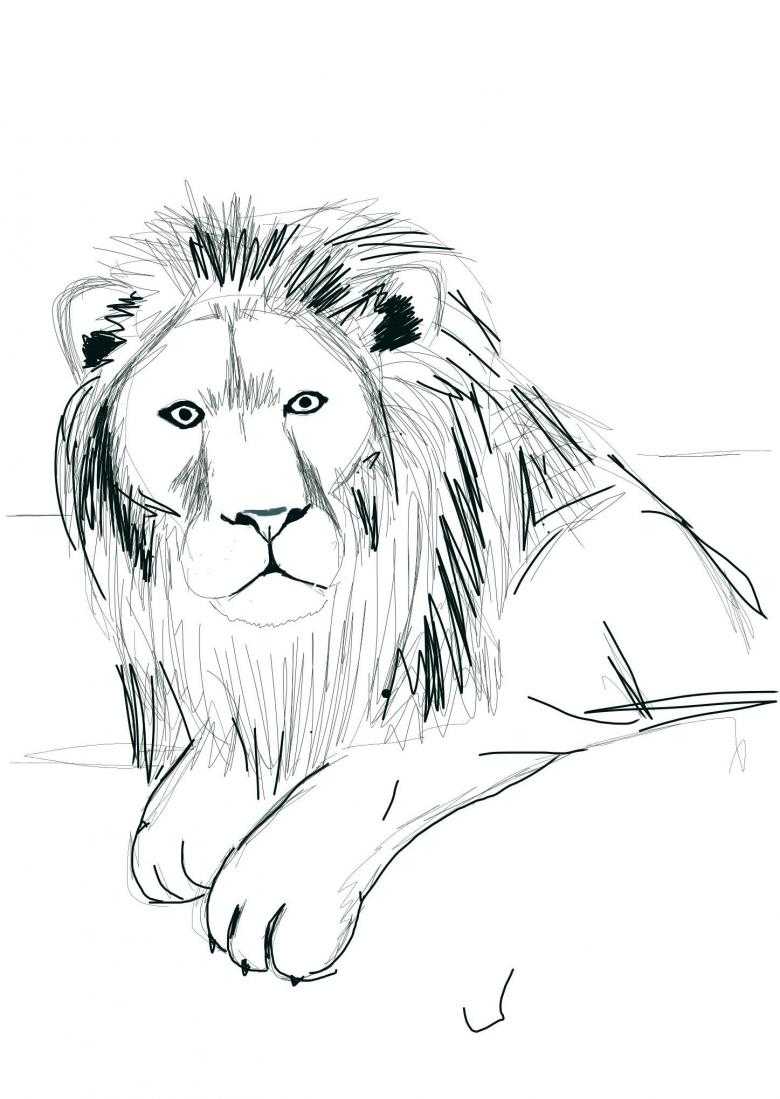 Как нарисовать льва - этапы описания как сделать рисунок льва своими руками (140 фото)