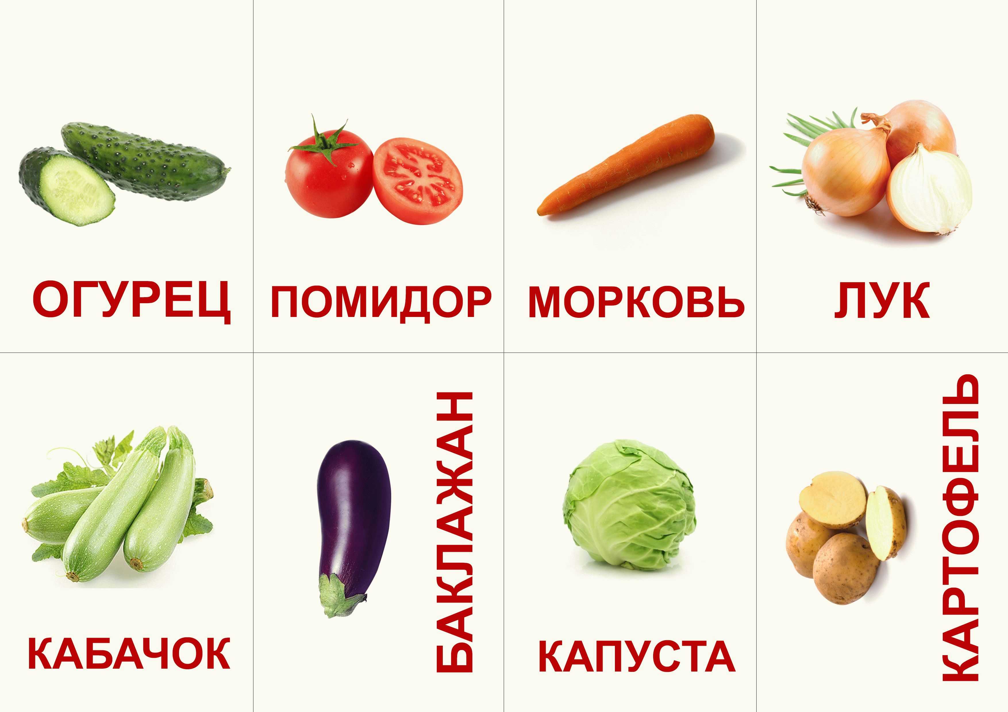Овощи. все на овощную тему для детей. воспитателям детских садов, школьным учителям и педагогам - маам.ру