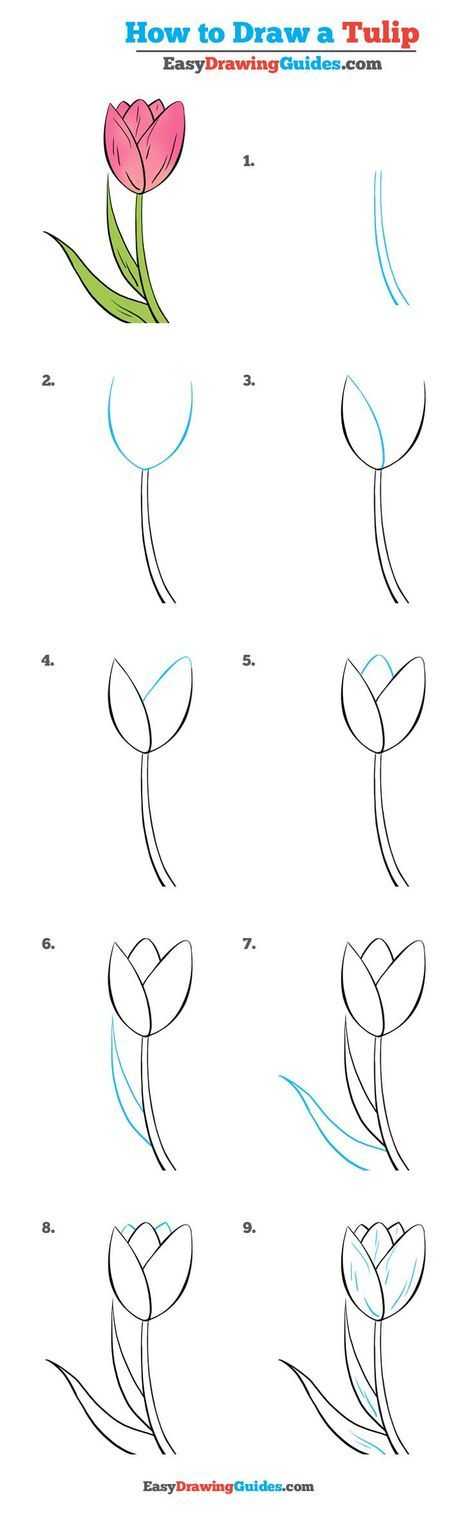 Рисунок «цветок» для начинающих пошагово с фото. как нарисовать цветок в вазе, в горшке, карандашом