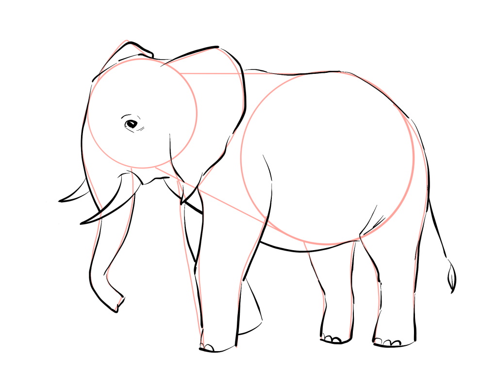 Как нарисовать слона карандашом: поэтапное описание техник рисования для детей и начинающих