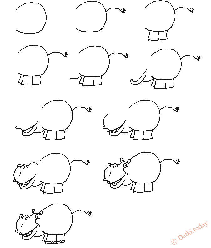 Как нарисовать бегемота карандашом поэтапно - легкая инструкция с фото и описанием