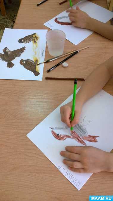 Как нарисовать птицу карандашом поэтапно дочки - матери