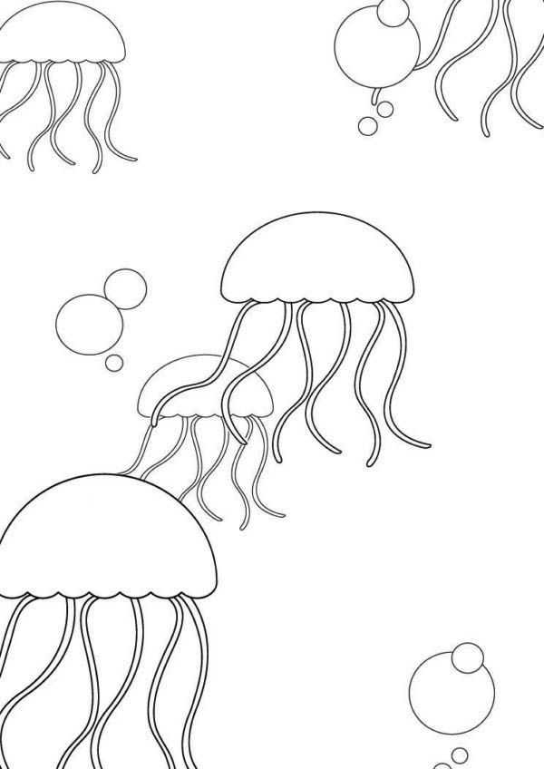 Как рисовать медузы — пошаговые уроки рисования