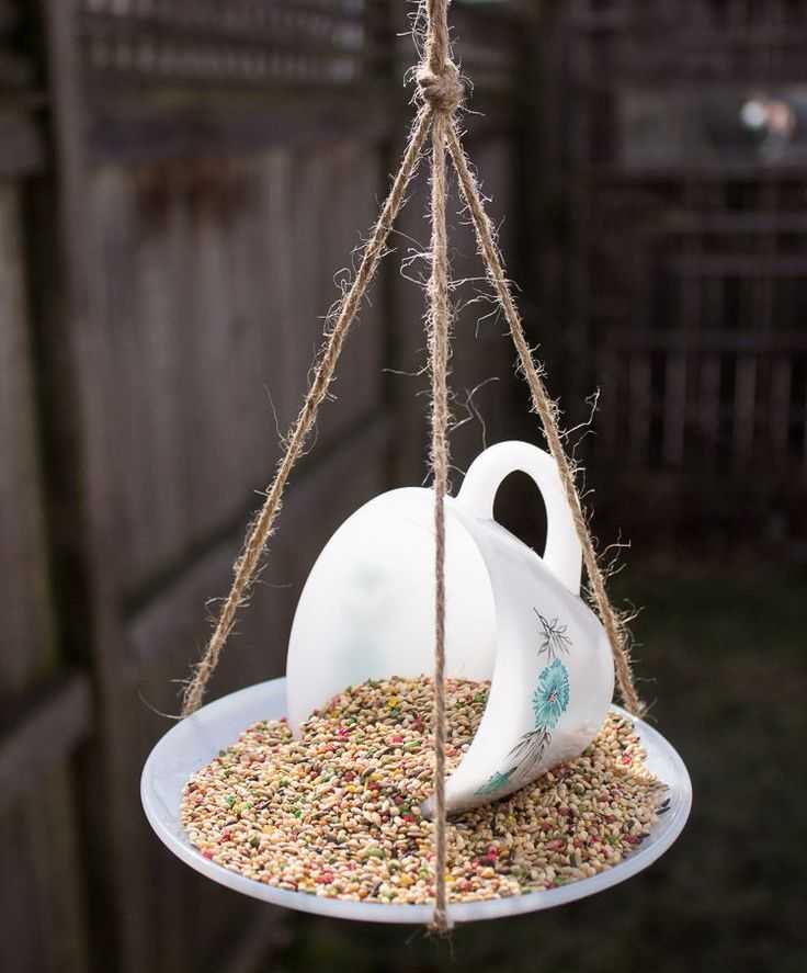 Кормушка для птиц своими руками (102 фото) - легкие мастер-классы по созданию кормушек из дерева, фанеры, пластиковой бутылки
