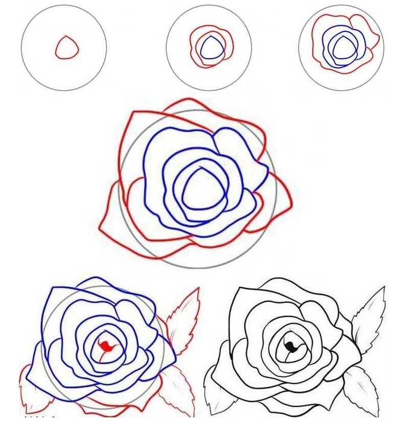Как нарисовать цветок пошагово: мастер-класс по рисованию для начинающих