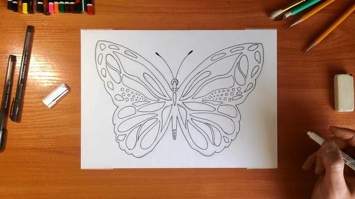 Бабочки акриловыми красками » как рисовать поэтапно. уроки рисования карандашом для начинающих