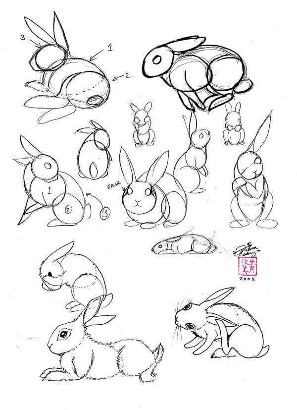 Как нарисовать кролика поэтапно: учимся рисовать легко и просто по клеточкам, оригинальные идеи и эскизы