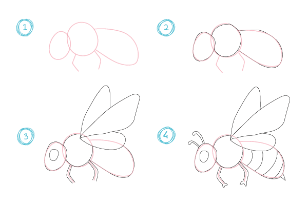 Как нарисовать пчелу карандашом поэтапно для детей и начинающих: пошаговая инструкция. как нарисовать пчелку майю, пчелу на цветке карандашом поэтапно? лучшие рисунки пчелы для детей для срисовки: фото