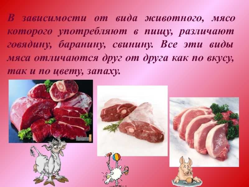 Топ-10 рецептов блюд из мяса