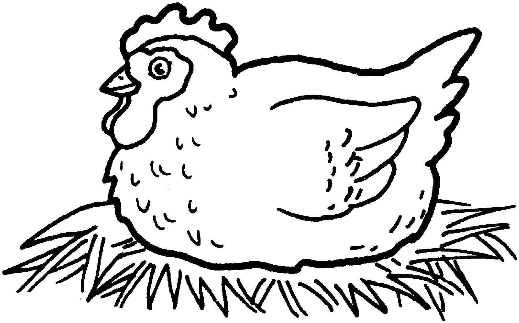 Раскраски цыпленок | бесплатно распечатать, скачать картинки для детей