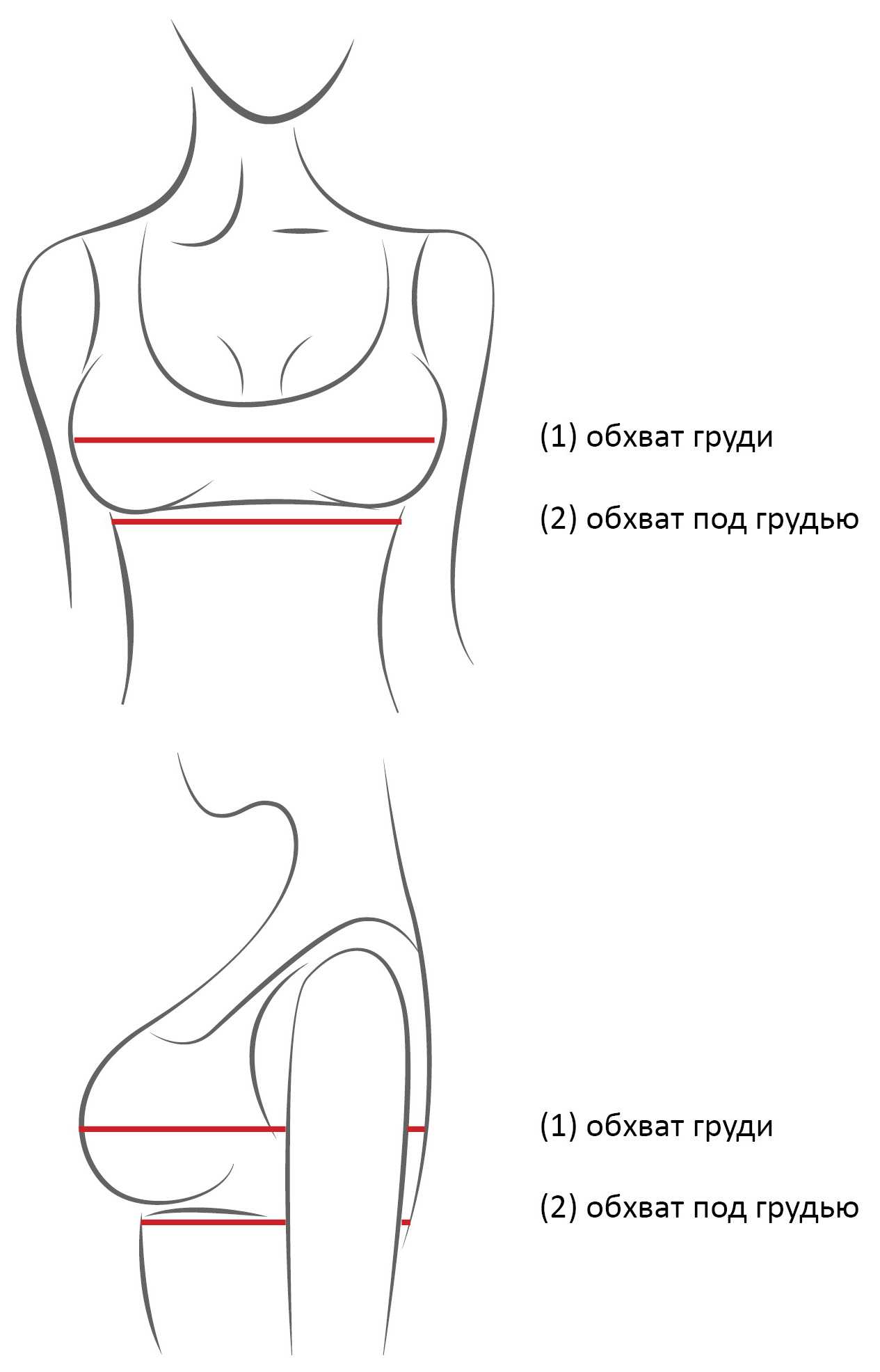 как измерить ширину груди у женщин фото 19