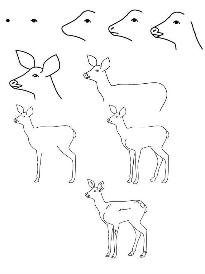 Как нарисовать оленя карандашом поэтапно для детей и начинающих? олень: рисунок для детей