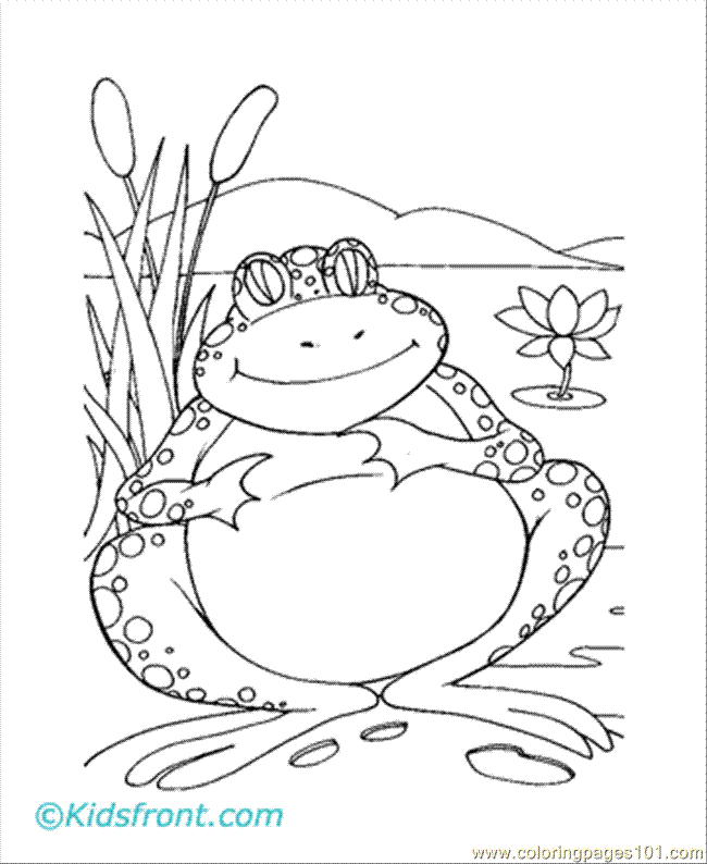 Как нарисовать ребенку лягушку поэтапно карандашом. как нарисовать царевну лягушку легко. как нарисовать лягушку поэтапно для детей. как нарисовать лягушку разными способами. пошаговые мастер-классы и