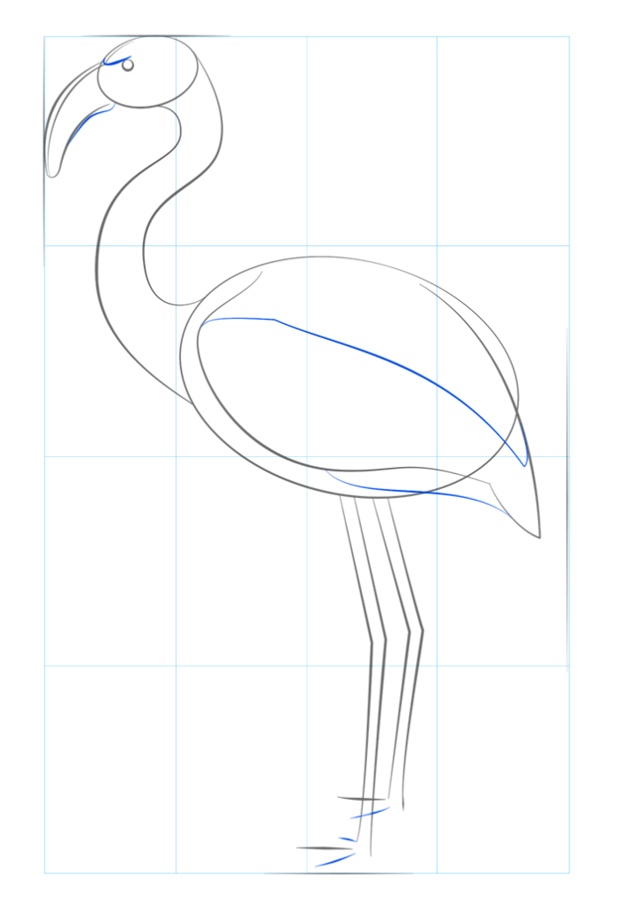 Как нарисовать фламинго поэтапно для начинающих