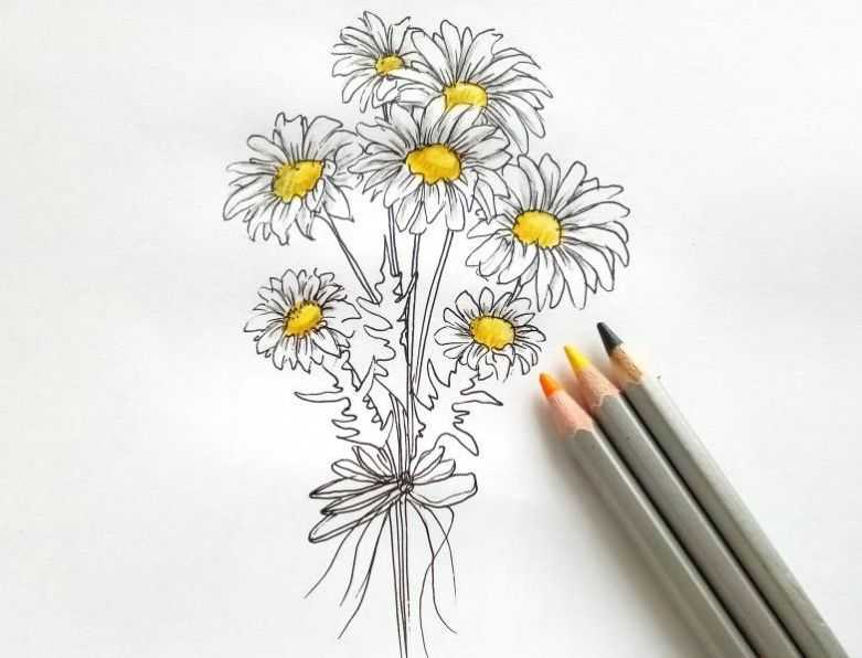 10 советов по рисованию цветными карандашами