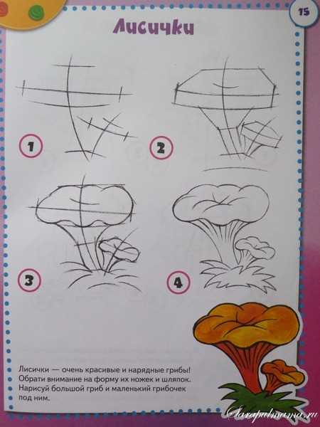 Как нарисовать гриб: основные этапы и мастер-класс от экспертов как нарисовать грибы (140 фото)